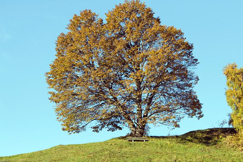 Mayrhofen 2008 (1 von 1)-49.jpg